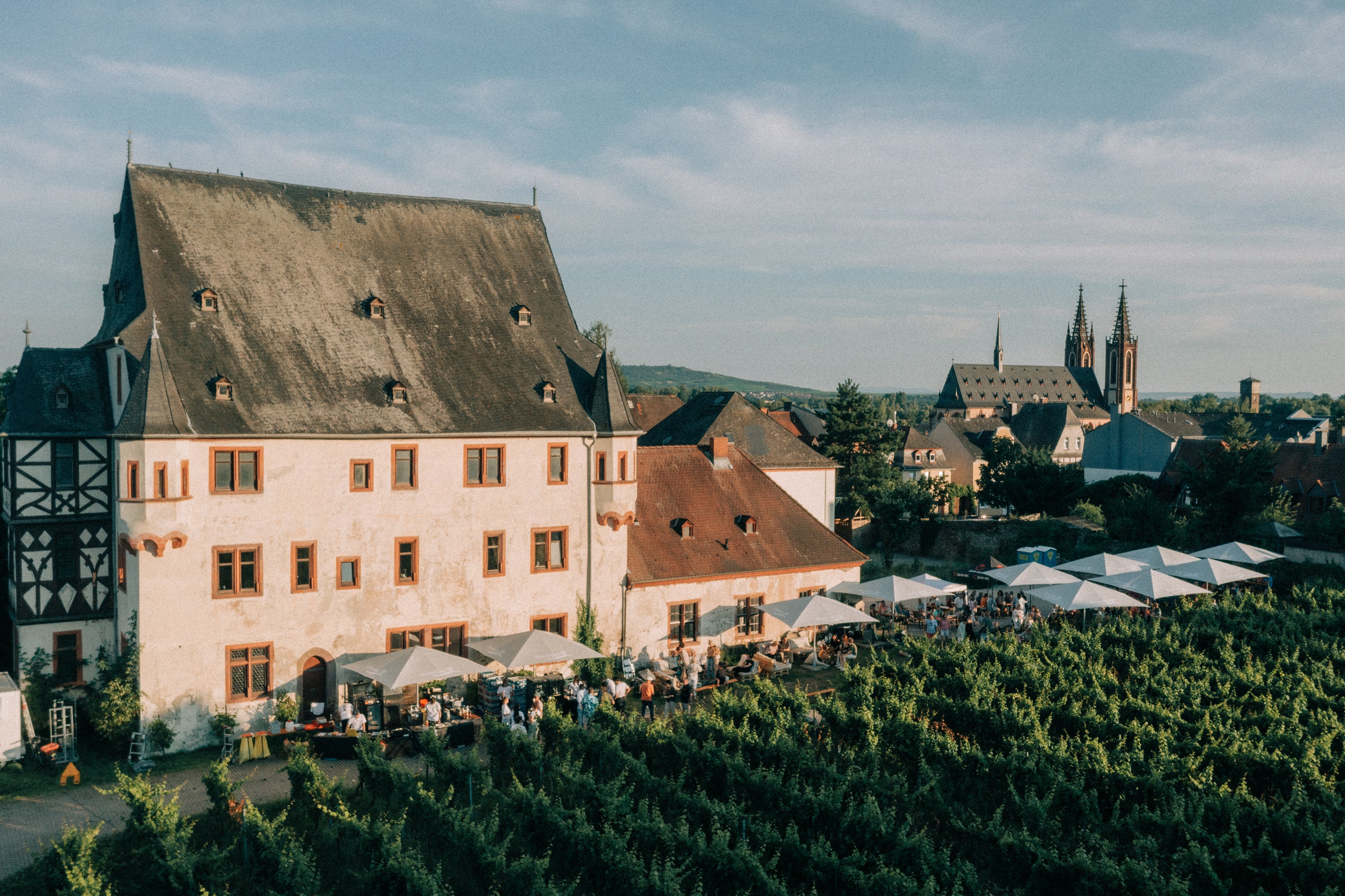 Schloss Schönborn von der Seite