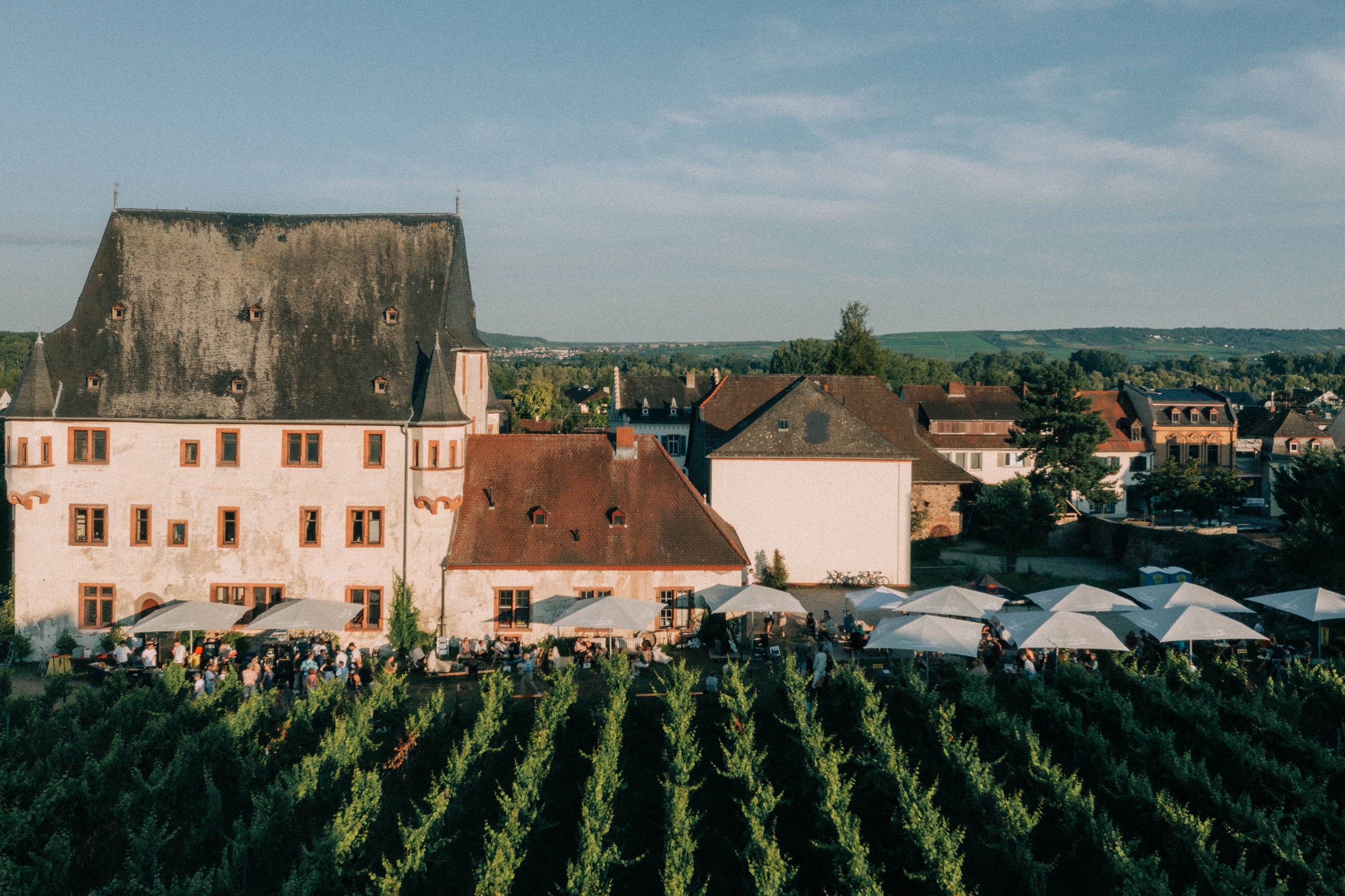 Luftaufnahme von Schloss Schönborn